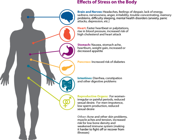 Effects of Stress